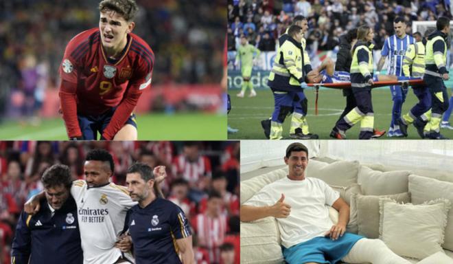 园贡献一份 园贡献一份