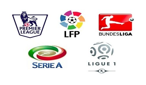 黄蜂最大垃 黄蜂最大垃